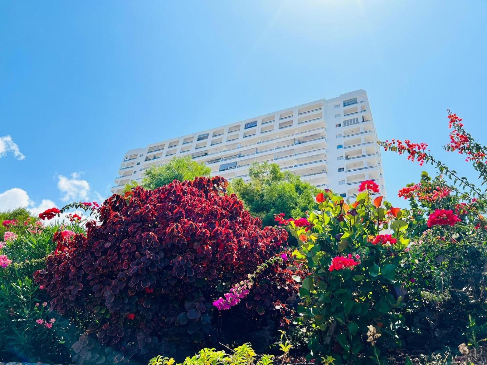 Luxury Kim Apartment, Ocean View & Wifi Free Playa Paraiso  Esterno foto